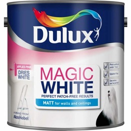  DULUX Magic   5